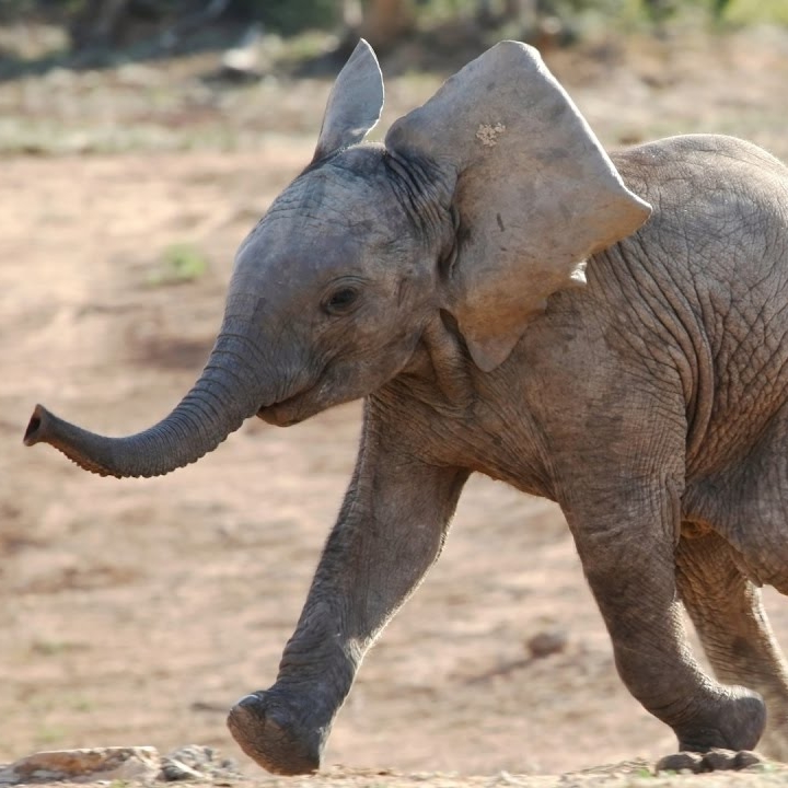 Lorem ipsum dolor sit amet, consectetur adipiscing elit. Donec sodales ipsum sem, nec commodo lacus vehicula a. Fusce euismod justo nibh, quis porta sapien scelerisque nec. – Diedel van Rooij, zzp’er –